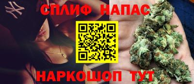 спиды Новодвинск