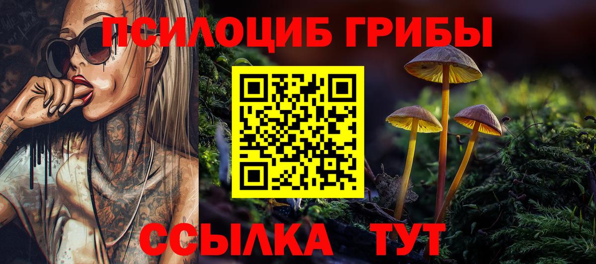 Галлюциногенные грибы Psilocybine cubensis Пугачёв
